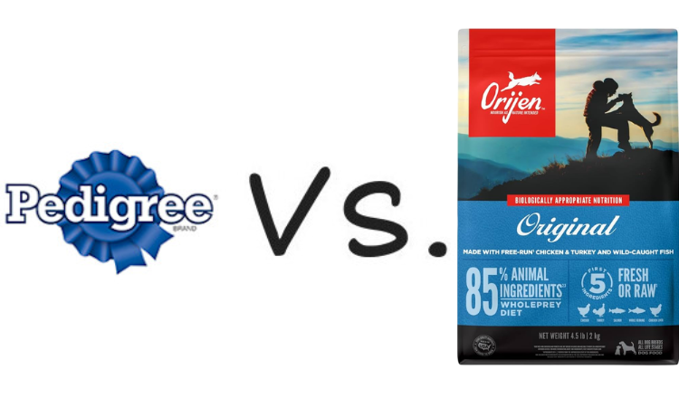 PEDIGREE Vs. ORIJEN: Budget Vs. Boutique Puppy Food Test