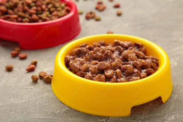 wet-dog-food-2