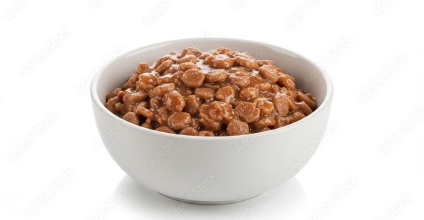 wet-dog-food