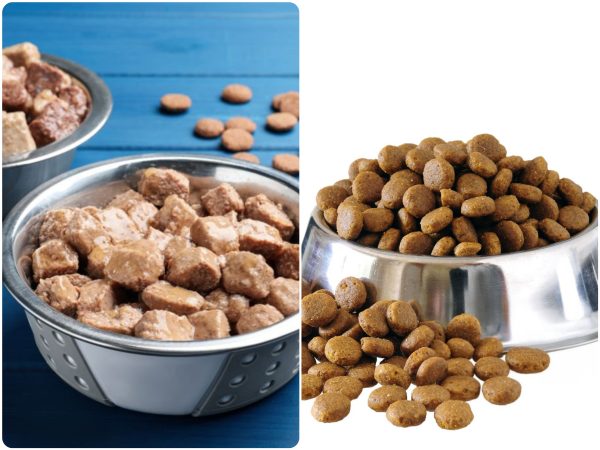 wet-dry-dog-food